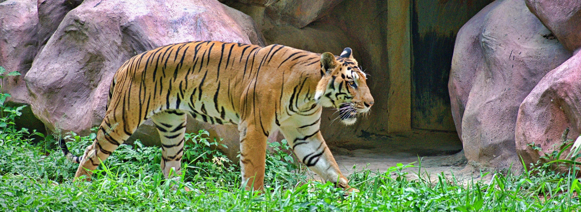 06 Days Golden Triangle Tour with Ranthambore Tiger Safari