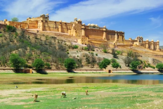07 Days Golden Triangle Tour - Private car and driver service